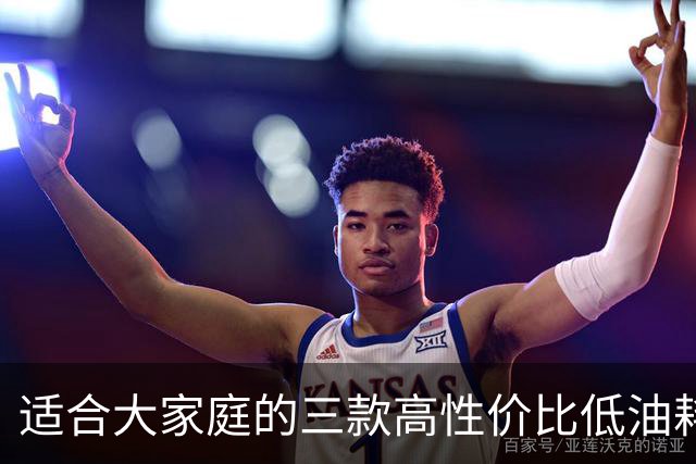 适合大家庭的三款高性价比低油耗车型推荐